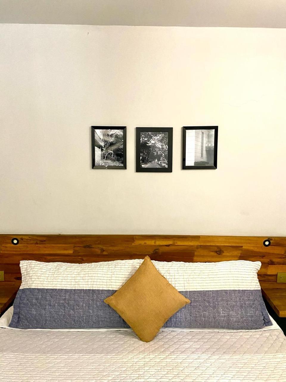 Casa Mosaiko Patio Bonito Hotel Medellín Kültér fotó